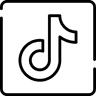 TikTok icon